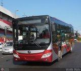 Bus CCS 999
