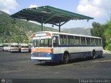 DC - Autobuses de Antimano 041