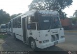 Asociacin Cooperativa R.S. Ezequiel Zamora 46, por Yenderson Fernndez C.