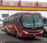 Empresa de Transporte Perú Bus S.A. 384, por Leonardo Saturno