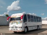 Ejecutivos Kova 081 por M�guel Pino