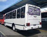Coop. Transporte Menca de Leoni 084
