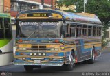 Transporte Palo Negro La Morita 2 099