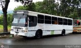Unin Conductores Ayacucho 0007