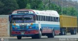 Colectivos Transporte Maracay C.A. 14