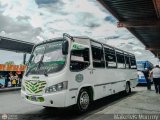 Lnea Tocar S.C. 37, por Maikelvis Monroy