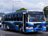 Lnea Arvelo 12