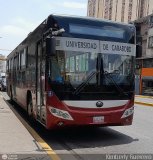 Universidad de Carabobo 331