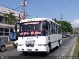 Asociaci�n Cooperativa R.S. Ezequiel Zamora 55 por Aly Baranauskas
