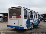 A.C. Transporte Central Morn Coro 048