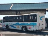 Colectivo Matera Nueva 09, por Sebastin Mercado