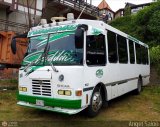 A.C. Uni�n Palo Negro 033 por �ngel Sal�n