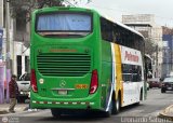 Expreso Internacional Palomino 786