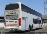 Expresos Flamingo 0071 por Andr�s Ascanio