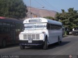 Transporte Colectivo Palo Negro 80