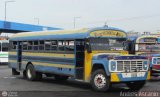 Transporte Colectivo Palo Negro 043