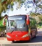Bus Tchira 222