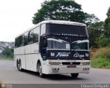 Los Reyes del Centro 43