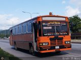 A.C. Transporte Democracia 01