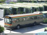 Metrobus Caracas 962 por Edgardo Gonzlez