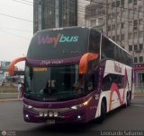 Way Bus (Per) 202, por Leonardo Saturno