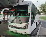 Expresos Del Sur 2024 por Jos� Mart�nez 