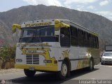 Lnea Los Andes S.C. 029