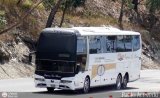 Expresos Los Llanos 117