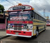 Expresos La Gran Colombia 37