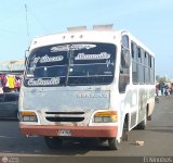 Colectivos El Pozo 009