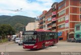 Trolmerida - Tromerca MER-996, por Andrs Figuera