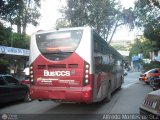 Bus CCS 1305 por Alfredo Montes de Oca