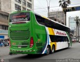 Expreso Internacional Palomino 8015, por Leonardo Saturno