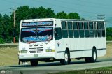 Colectivos Transporte Maracay C.A. 37 por Pablo Acevedo