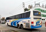 E.T. Maleo VIP (Per) 549, por Leonardo Saturno