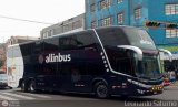Allinbus (Perú) 502