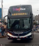 Way Bus (Per) 954