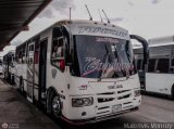 Uni�n Valencia A.C. 001 por Maikelvis Monroy