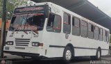 L�nea Carache 007 por Aaron Riera