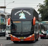 Grupo Divino Se�or S.A.C. (Per�) 208, por Leonardo Saturno