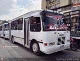 Cooperativa Nuevo Mundo 36