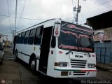 Transporte Guacara 0205, por Aly Baranauskas