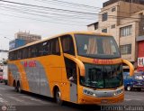 Turismo M Buss E.I.R.L (Perú) 950, por Leonardo Saturno