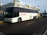 Transportes Uni-Zulia 1059 por Jousse Hernandez