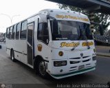 Coop. de Transporte La Candelaria 41