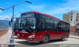 Trolmerida - Tromerca U08-21, por Andrs Figuera