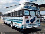 Colectivo Matera Nueva 34