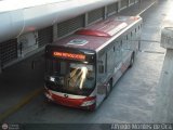 Bus CCS 1311, por Alfredo Montes de Oca
