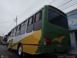 Expresos Gucharo 08