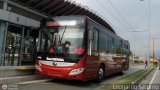 Bus Mérida 12, por Leonardo Saturno